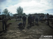 dscf8148.jpg