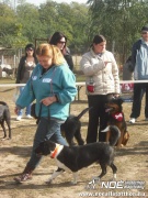 dscf8176.jpg
