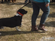 dscf8177.jpg