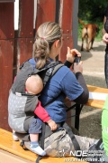 img_9112_medium.jpg