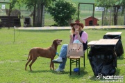 img_9125_medium.jpg