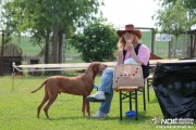 img_9126_medium.jpg