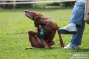 img_9129_medium.jpg