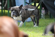 img_9132_medium.jpg