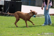 img_9139_medium.jpg