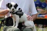 img_9142_medium.jpg