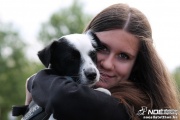 img_9146_medium.jpg