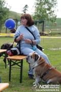 img_9157_medium.jpg