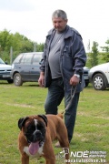 img_9167_medium.jpg