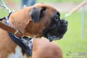 img_9170_medium.jpg