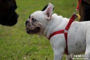 img_9172_medium.jpg