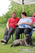 img_9175_medium.jpg