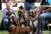 img_9183_medium.jpg