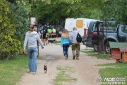 img_9188_medium.jpg