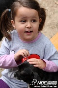 img_9189_medium.jpg