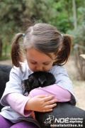 img_9191_medium.jpg