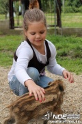 img_9194_medium.jpg