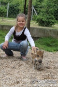 img_9197_medium.jpg
