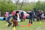img_9199_medium.jpg