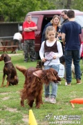 img_9200_medium.jpg