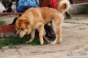 img_9202_medium.jpg