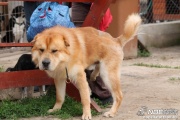 img_9203_medium.jpg