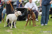 img_9212_medium.jpg