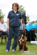 img_9214_medium.jpg