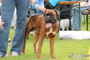img_9215_medium.jpg