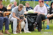 img_9217_medium.jpg