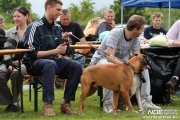 img_9218_medium.jpg
