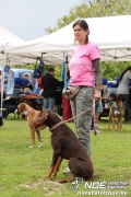 img_9219_medium.jpg