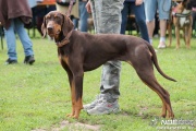 img_9222_medium.jpg