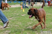 img_9223_medium.jpg