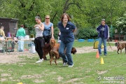 img_9224_medium.jpg