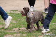 img_9228_medium.jpg