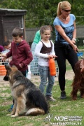 img_9229_medium.jpg