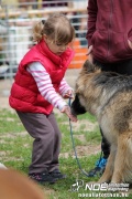 img_9230_medium.jpg