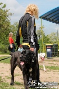 img_9233_medium.jpg