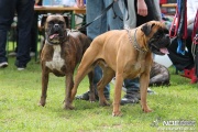 img_9239_medium.jpg