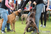 img_9243_medium.jpg