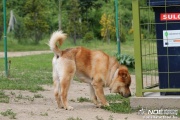 img_9245_medium.jpg