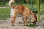img_9246_medium.jpg