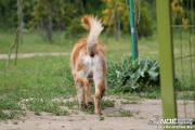 img_9247_medium.jpg