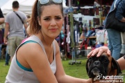 img_9249_medium.jpg
