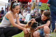 img_9251_medium.jpg