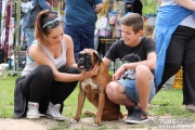 img_9254_medium.jpg