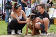 img_9256_medium.jpg