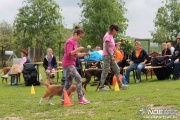 img_9257_medium.jpg