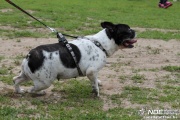 img_9266_medium.jpg